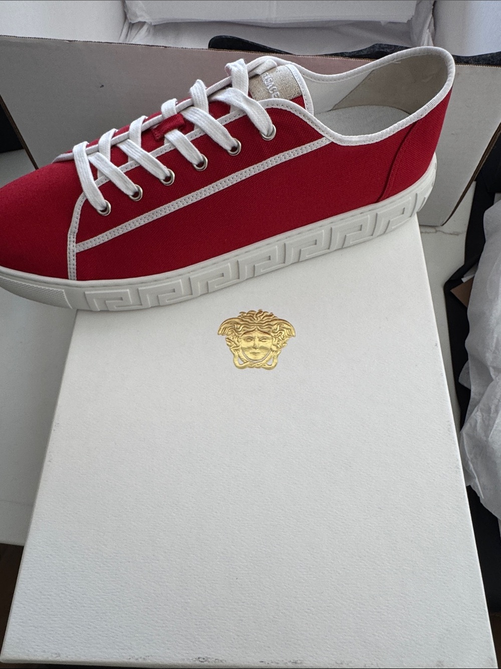 Versace Canvas Low-Top Sneakers with box